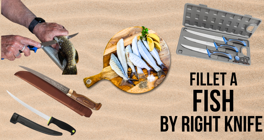 Choose the right knife for fish fillet